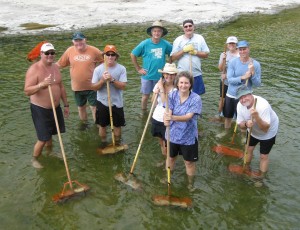 Volunteers on the Earth Day broom line